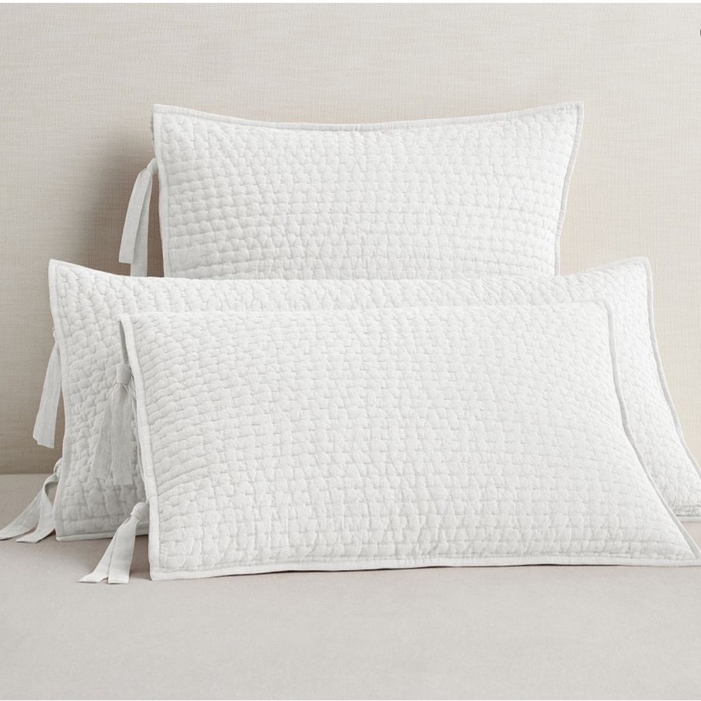 Pottery Barn King Shams - Picture 11 of 11